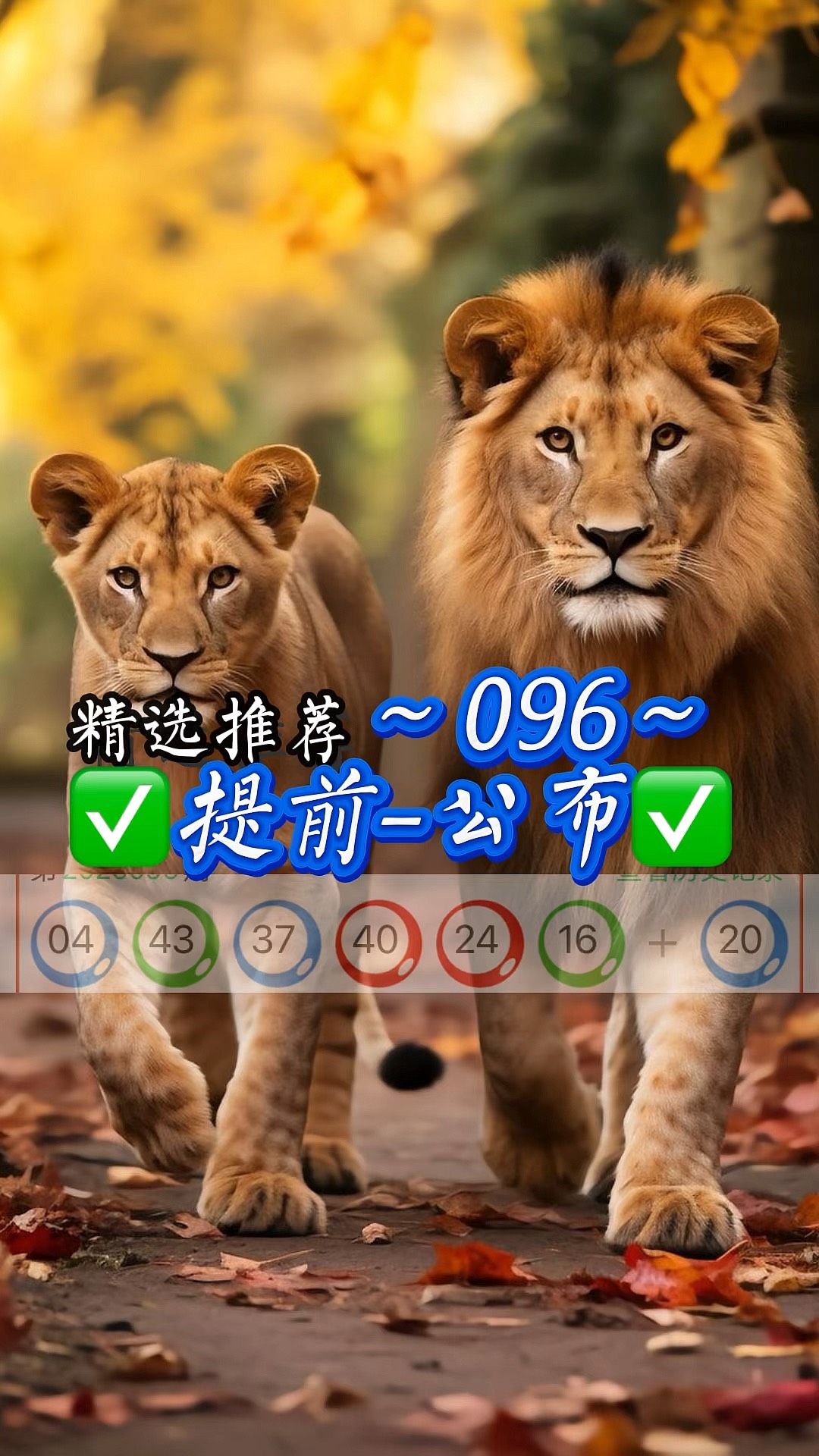 新奥精准精选免费提供