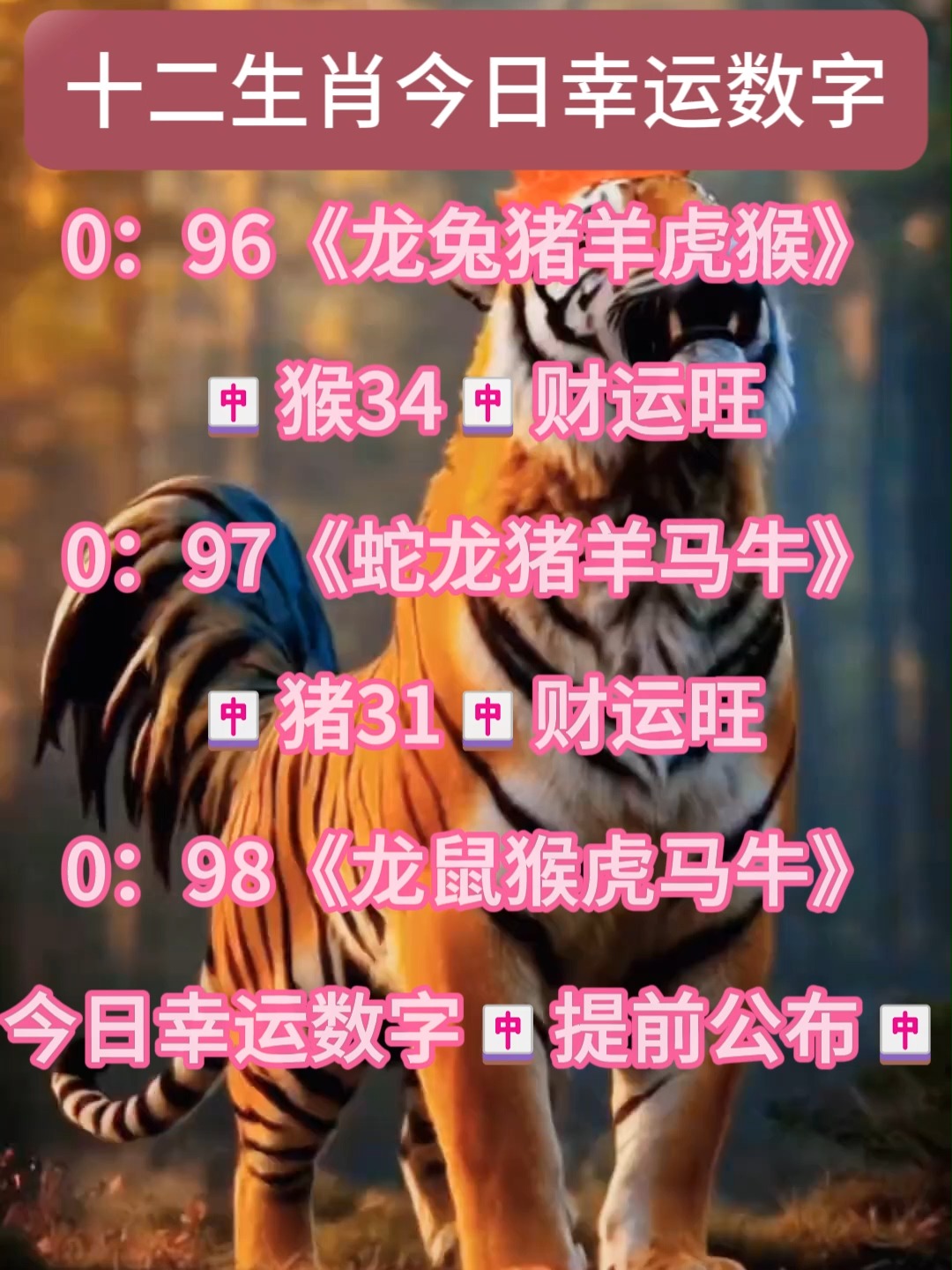 2025年正版资料免费大全视频猪跟什么生肖数字最有财运
