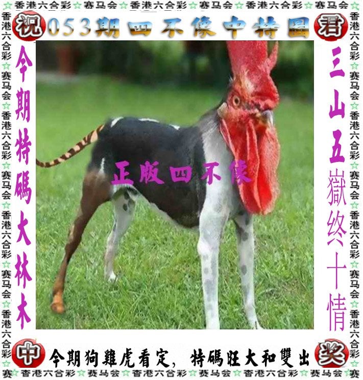 包含澳门彩资料大全书凤凰艺术的词条