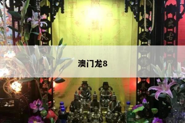澳门龙8
