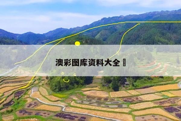 澳彩图库资料大全	