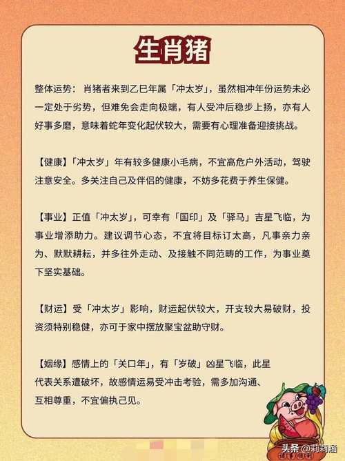 2025年正版资料免费大全视频猪跟什么生肖数字最有财运,2025年正版资料免费大全